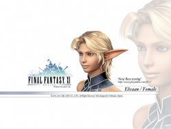 Final Fantasy 11 wallpaper