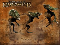 Morrowind wallpaper